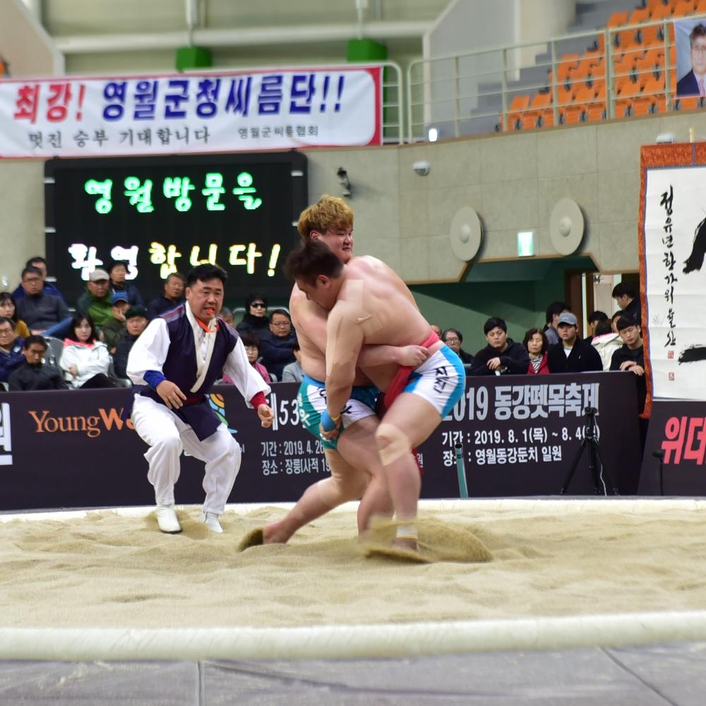 2019 영월장사씨름대회 (3).JPG